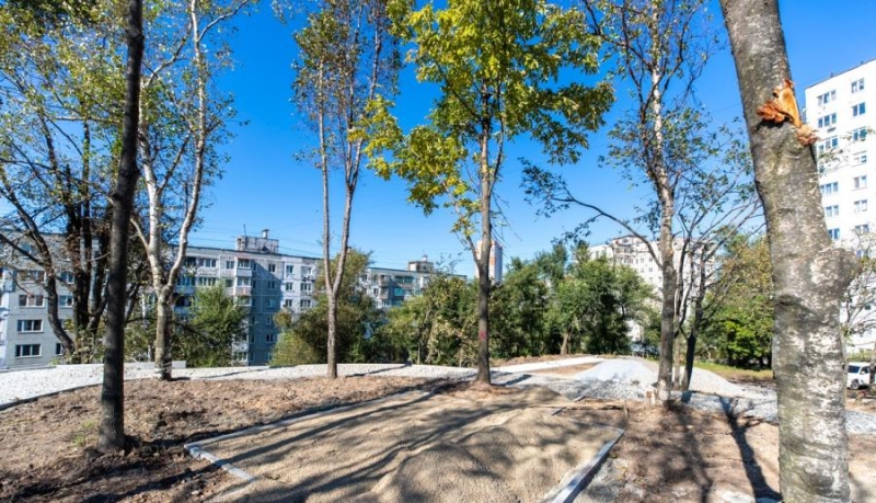 На Карбышева комплексно благоустроят дворы