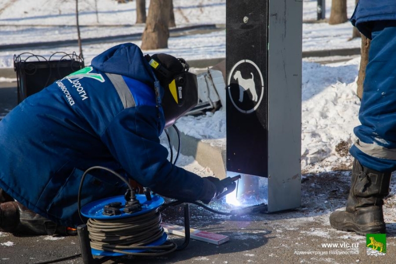 На улицах Владивостока устанавливают дог-боксы