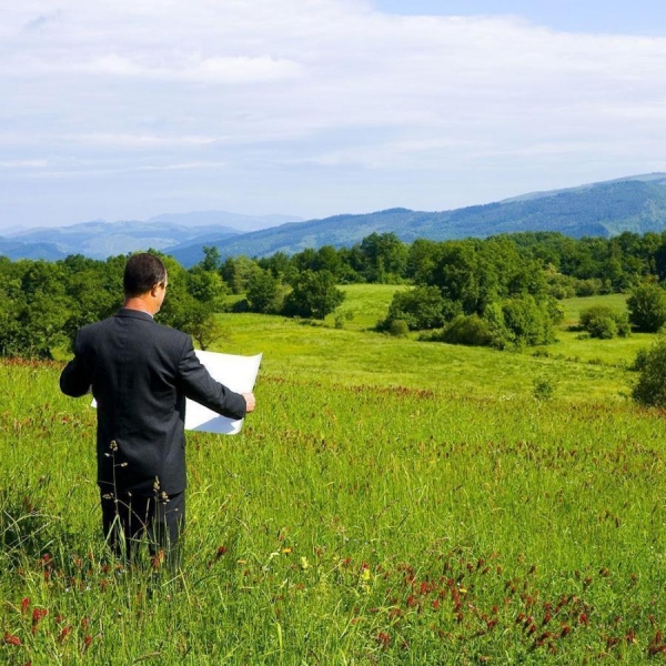 Никаких проверок. Приморский Росреестр перезагружает контрольные мероприятия