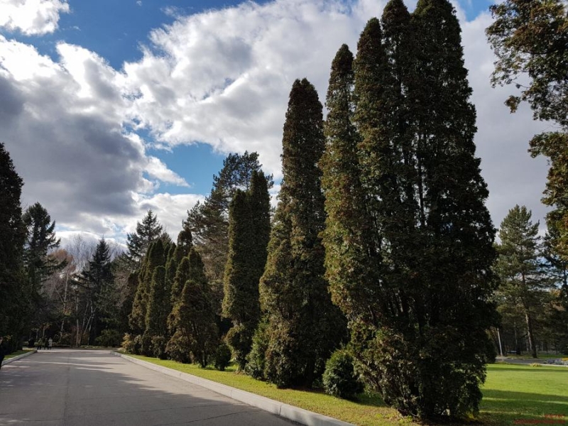 Новый вид бесплатной путевки появится в Приморье