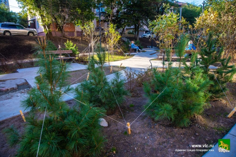 Программа пришлась ко двору: Окатовая преображается