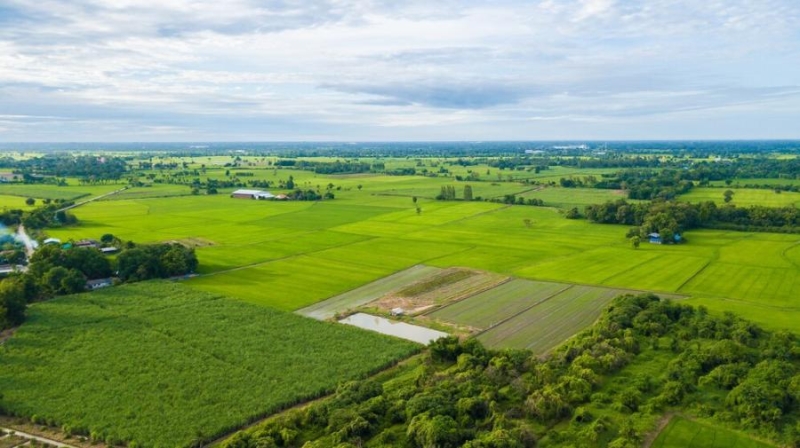 Рабочим дадут бесплатную землю