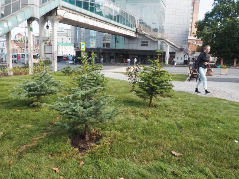 Снос надземного перехода на Семеновской: подрядчик найден