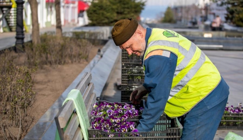 Тысячи однолетников украсят Владивосток ко Дню Победы