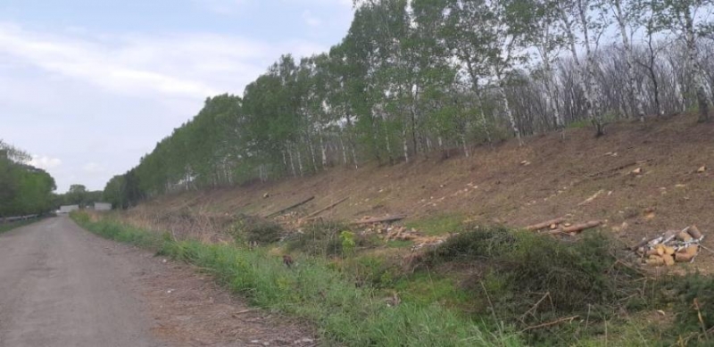 В Приморье УФАС не понравилась битва за дамбу