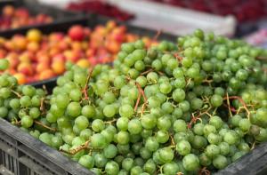 В Приморье заработала фермерская интернет-ярмарка