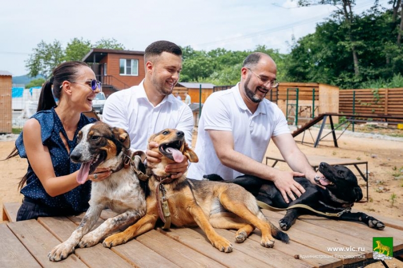 Во Владивостоке будет решен вопрос бездомных собак