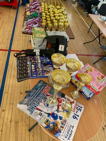 Во Владивостоке наградили лучших кикбоксеров Приморья