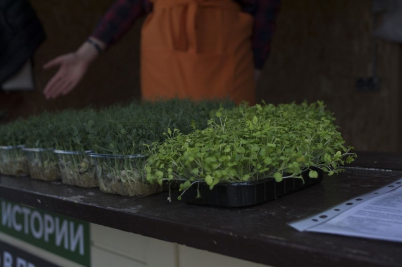 Во Владивостоке стартовал тематический фестиваль «Сделано в Приморье. Осенние истории»