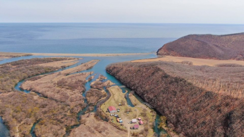 «Восточный Порт» выпустил в море более двух миллионов мальков лососевых